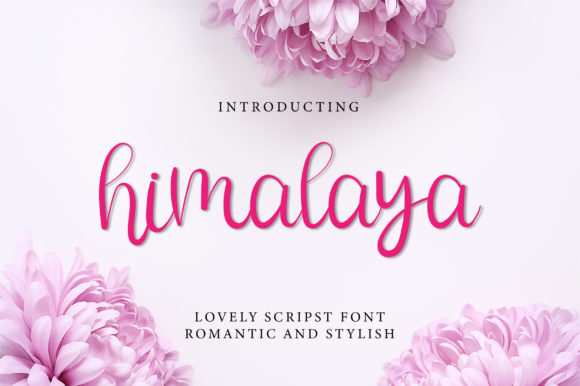 Himalya: A Delicate Script Handwritten Font for Elegant Digital Design