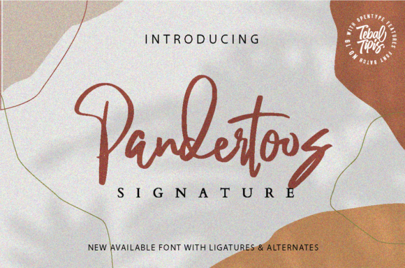 Pandertoos Script Font for Elegant Campaign Design