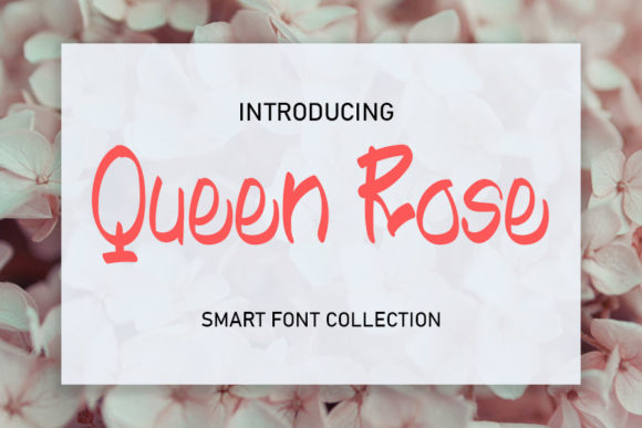 Queen Rose Script Font for Editorial Charm