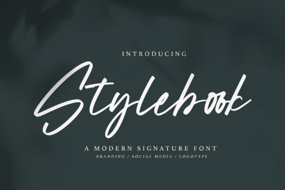 Stylebook: A Delicate Script Font for Editorial Elegance
